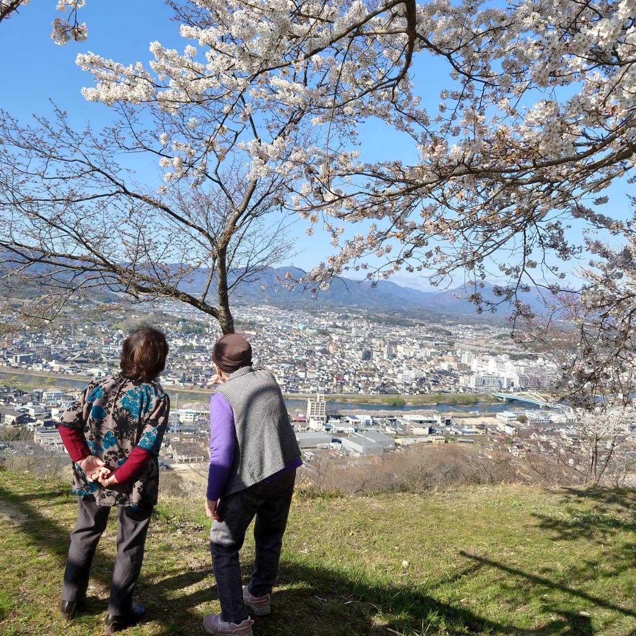 お花見