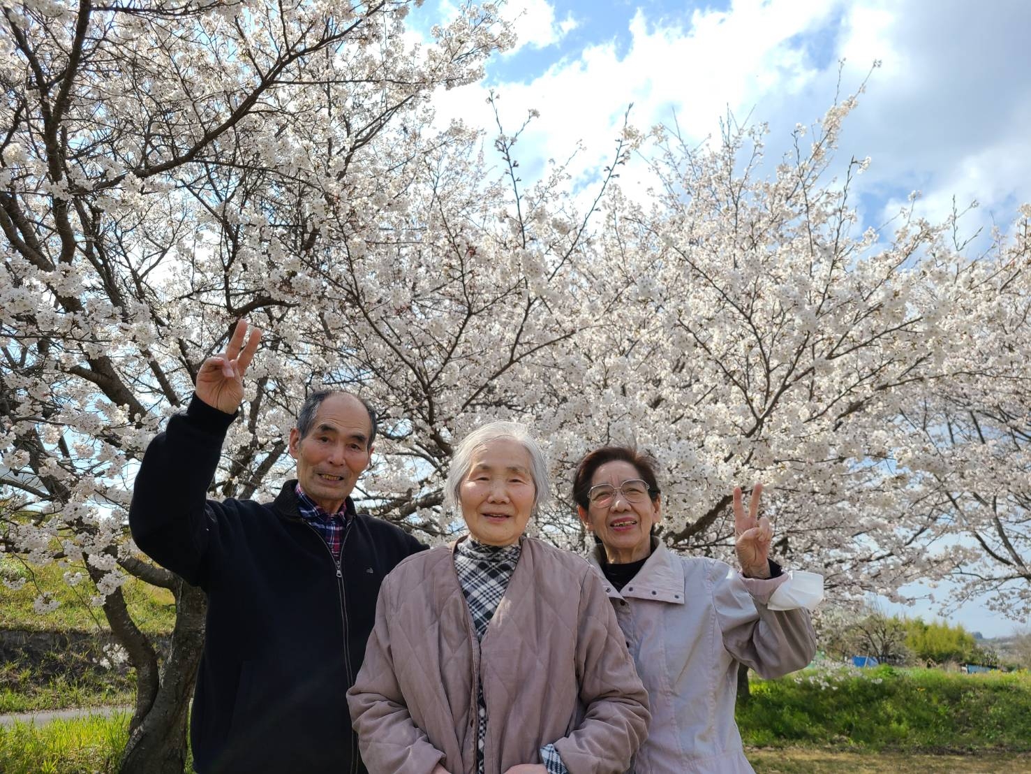 さくら花見