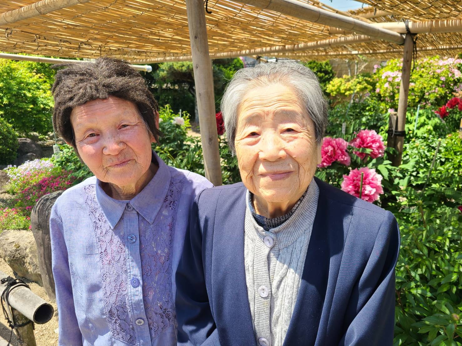 牡丹シャクヤク祭りへ