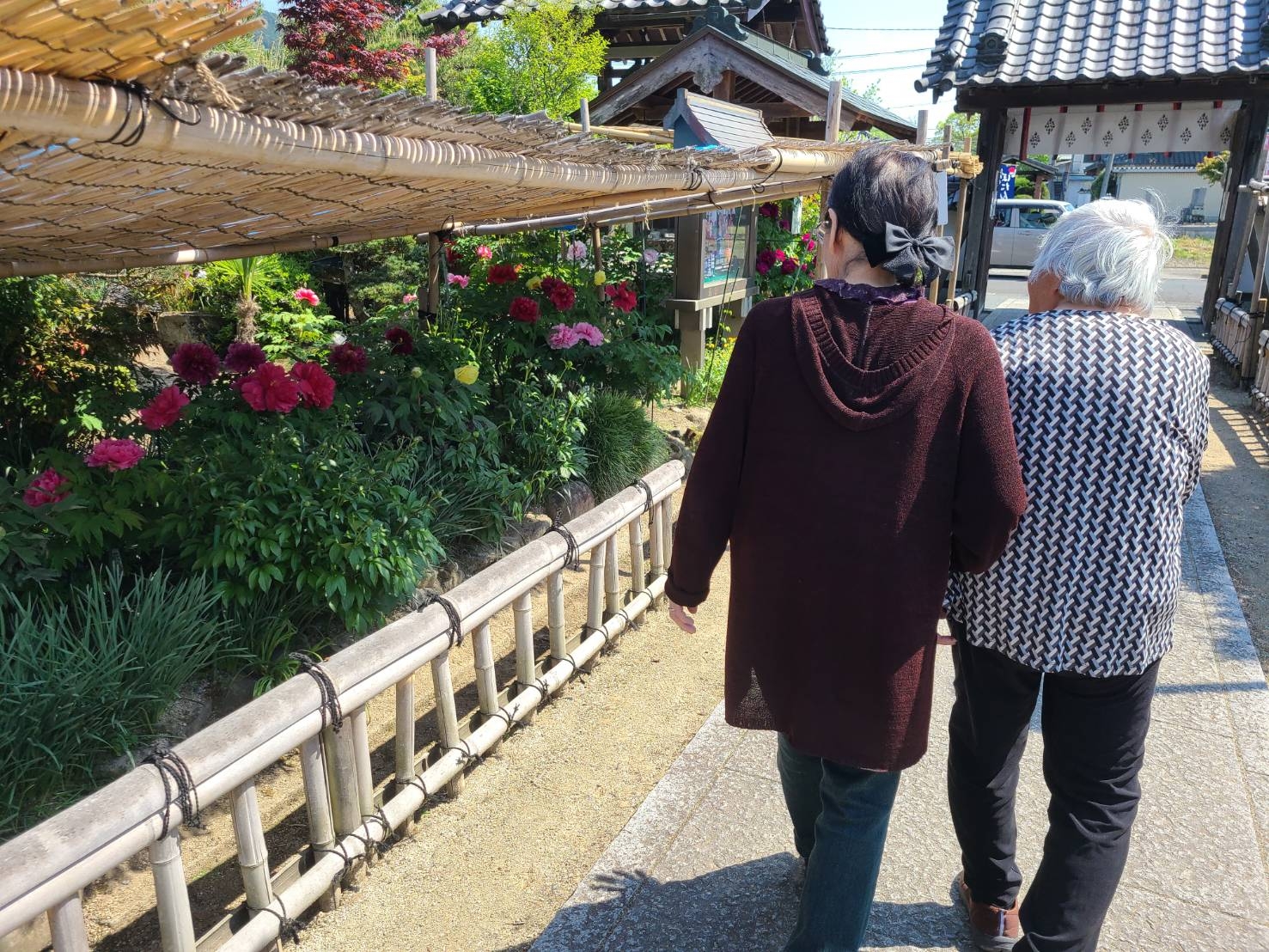 牡丹シャクヤク祭りへ