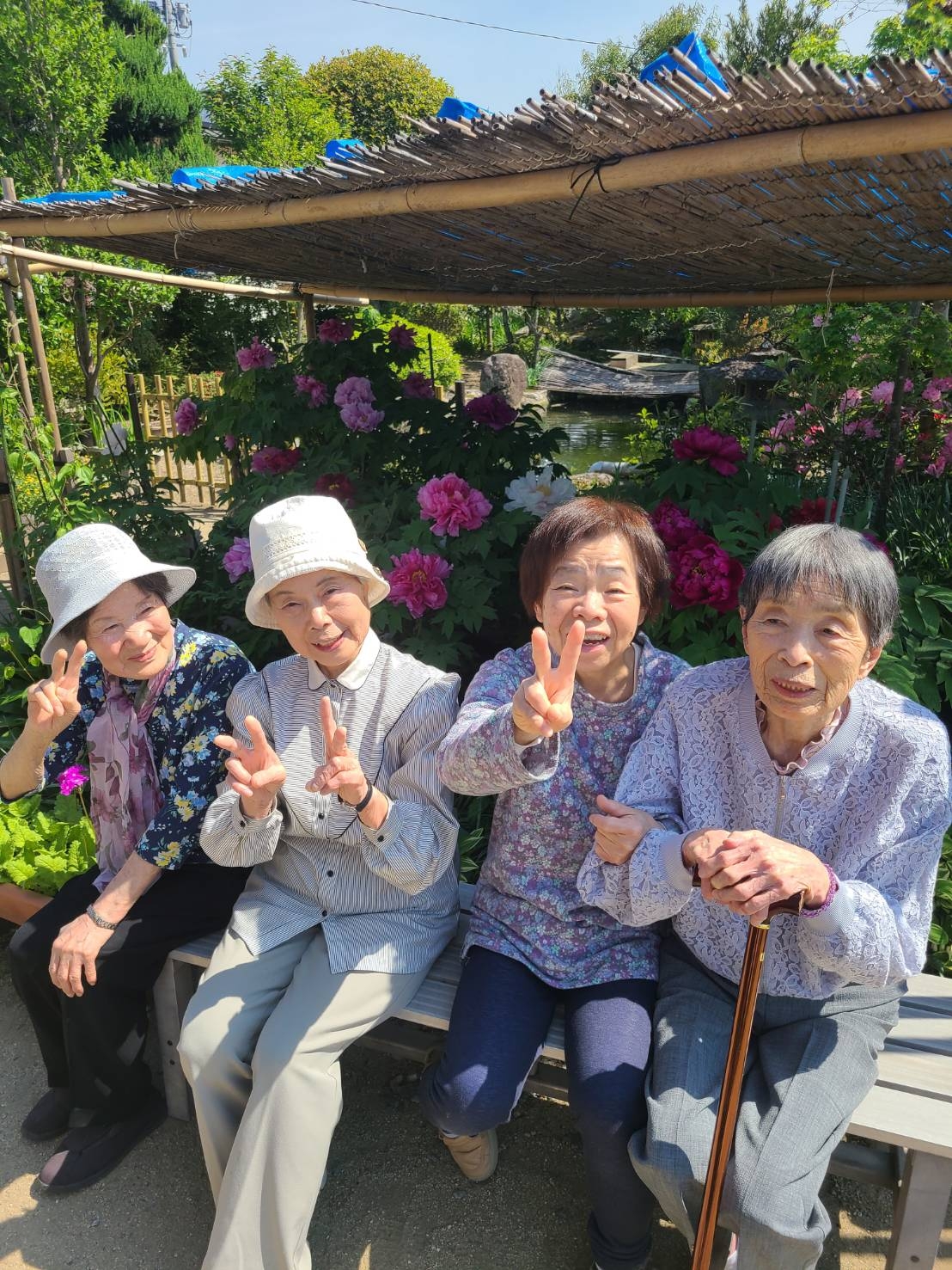 牡丹シャクヤク祭りへ