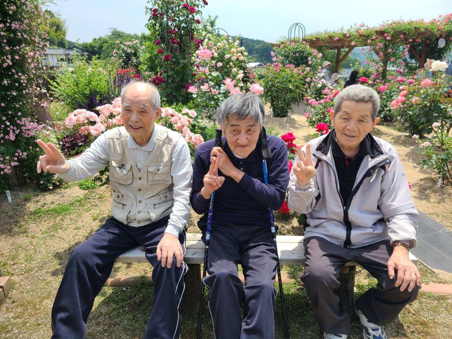 甲本バラ園散策