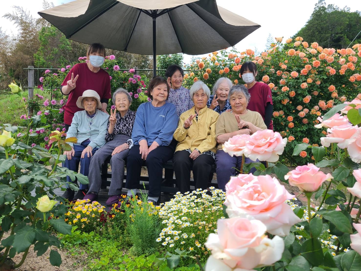 甲本バラ園散策