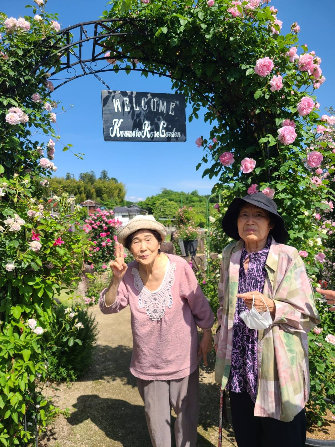 甲本バラ園散策