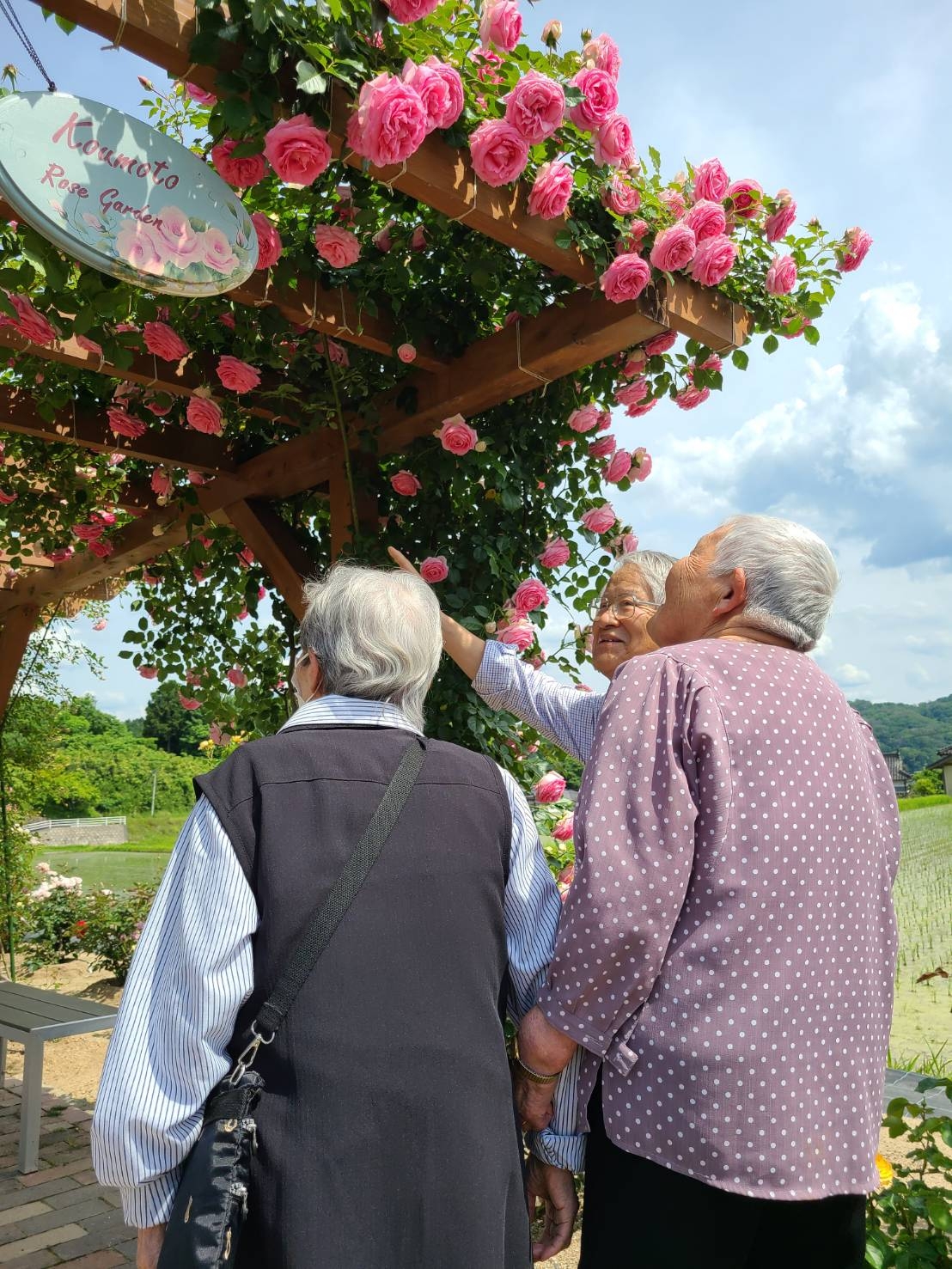 甲本バラ園散策