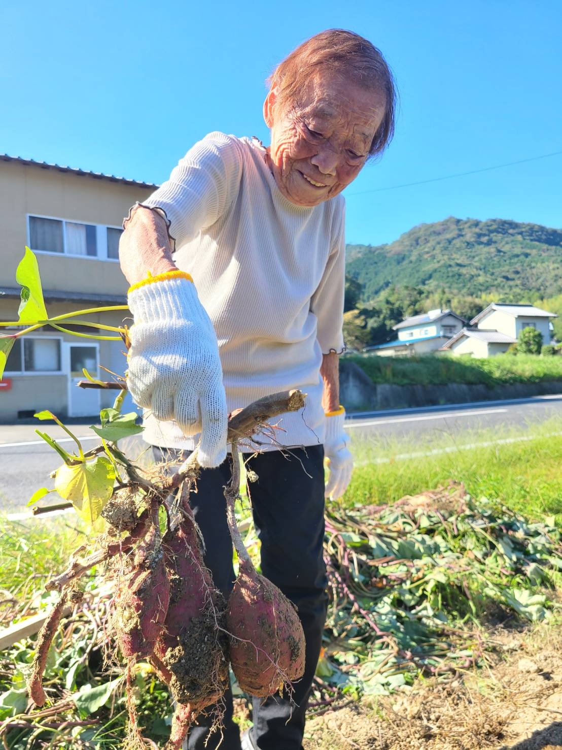 掘って焼いて味わって!さつまいも!!
