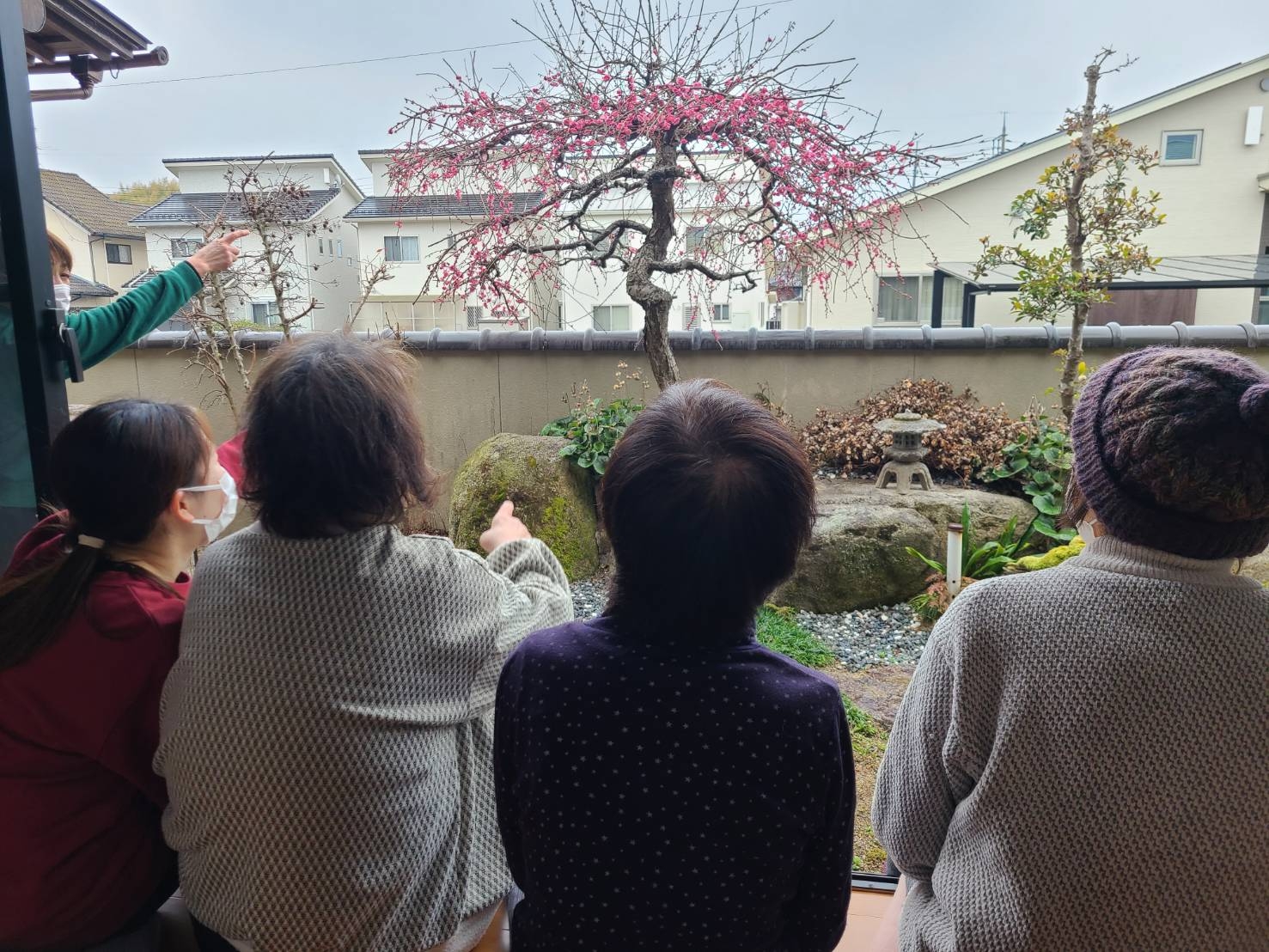 春の訪れ!梅の花見!!