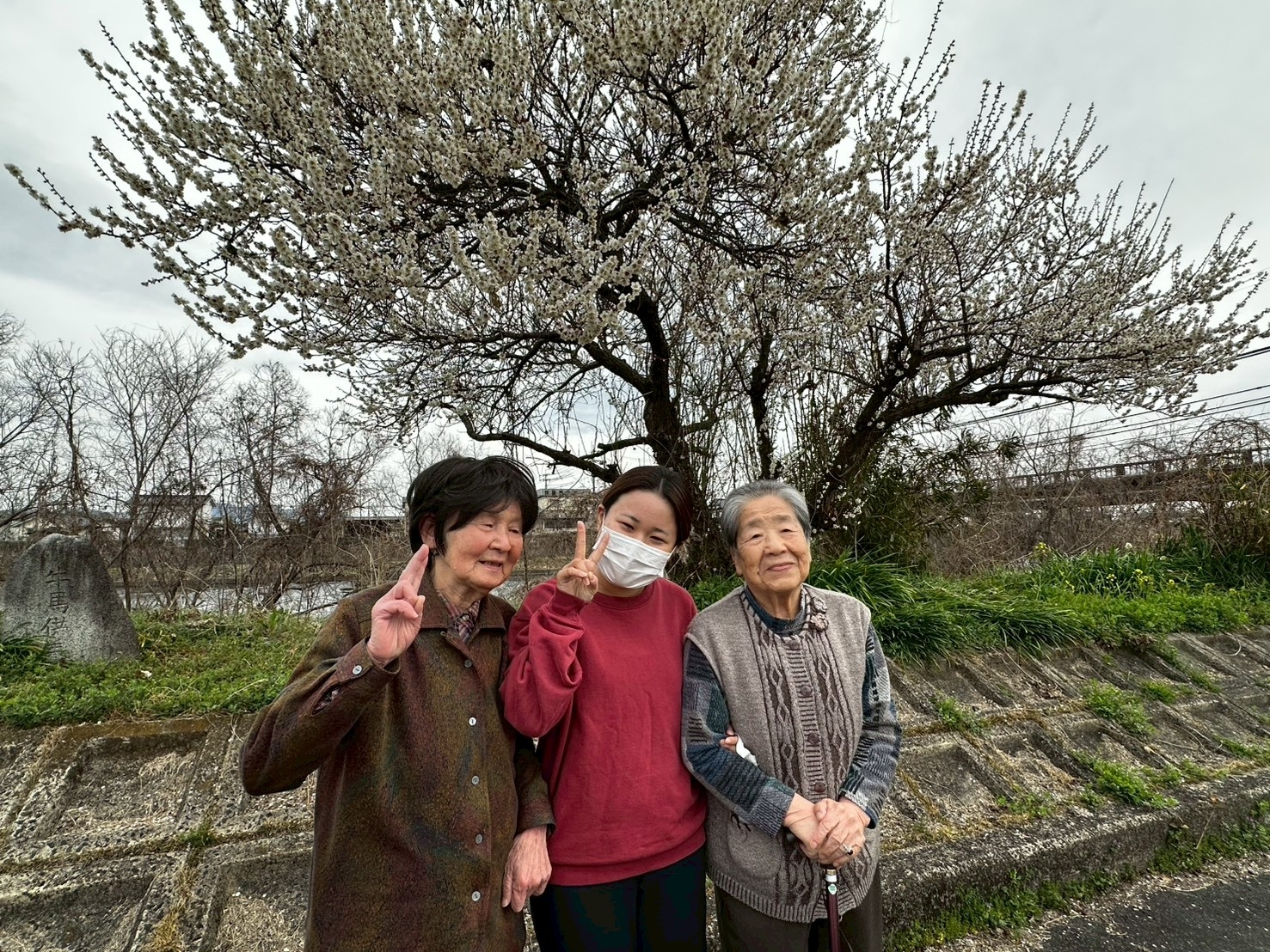 春の訪れ!梅の花見!!