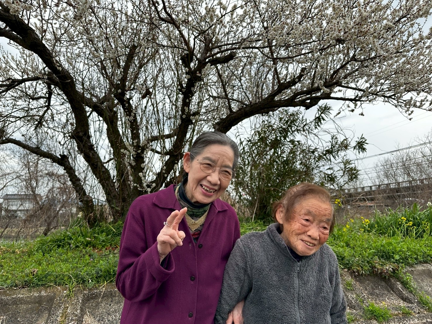 春の訪れ！梅の花見！！