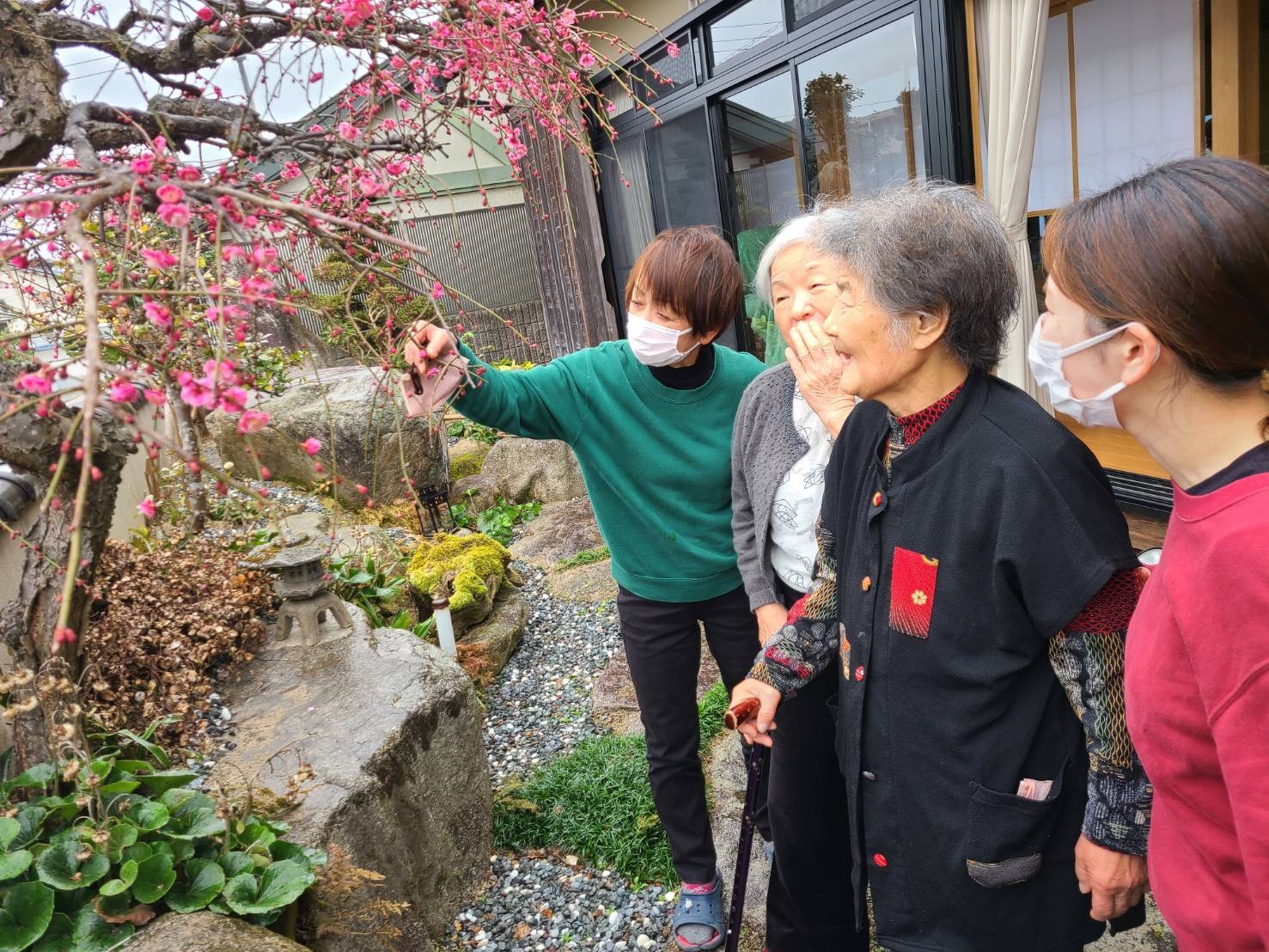 春の訪れ!梅の花見!!