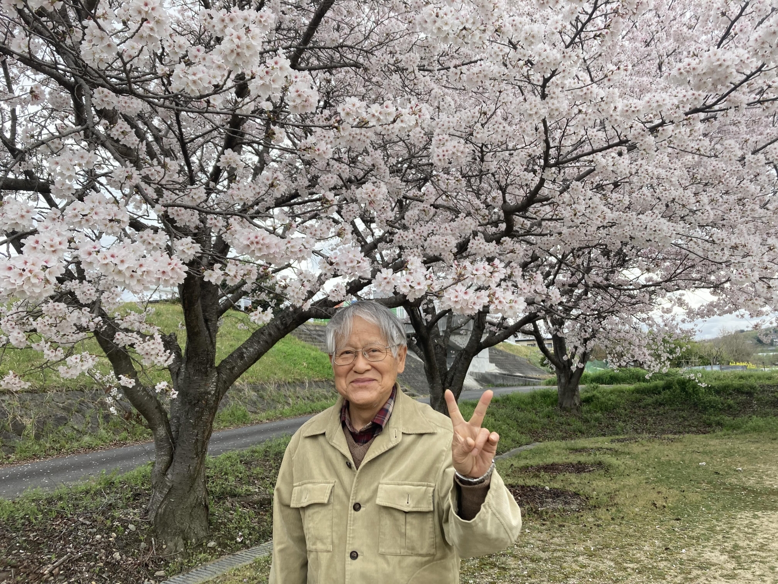 桜の花見♪
