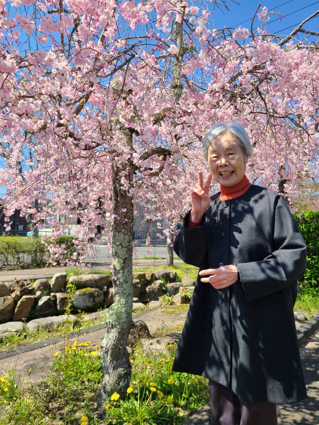 桜の花見♪