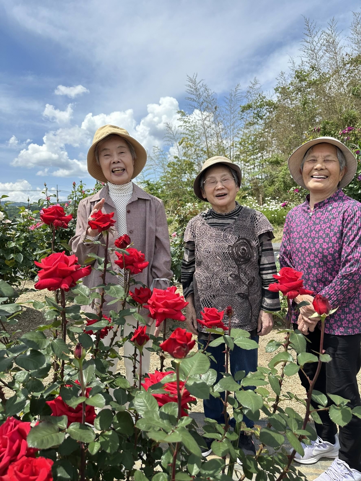 甲本バラ園様散策(東一宮事業所)