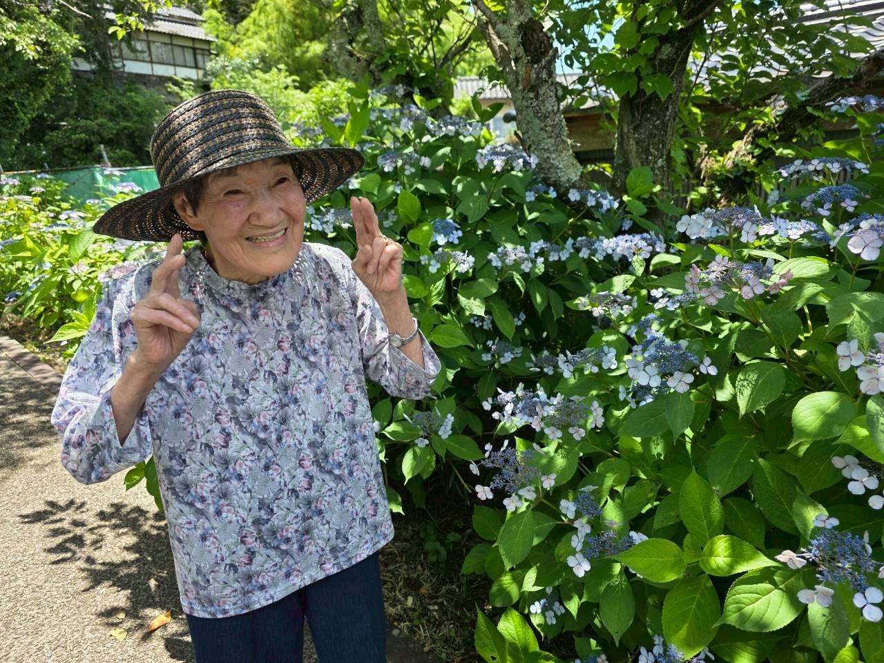6月イベント（紫陽花鑑賞･七夕祭り）
